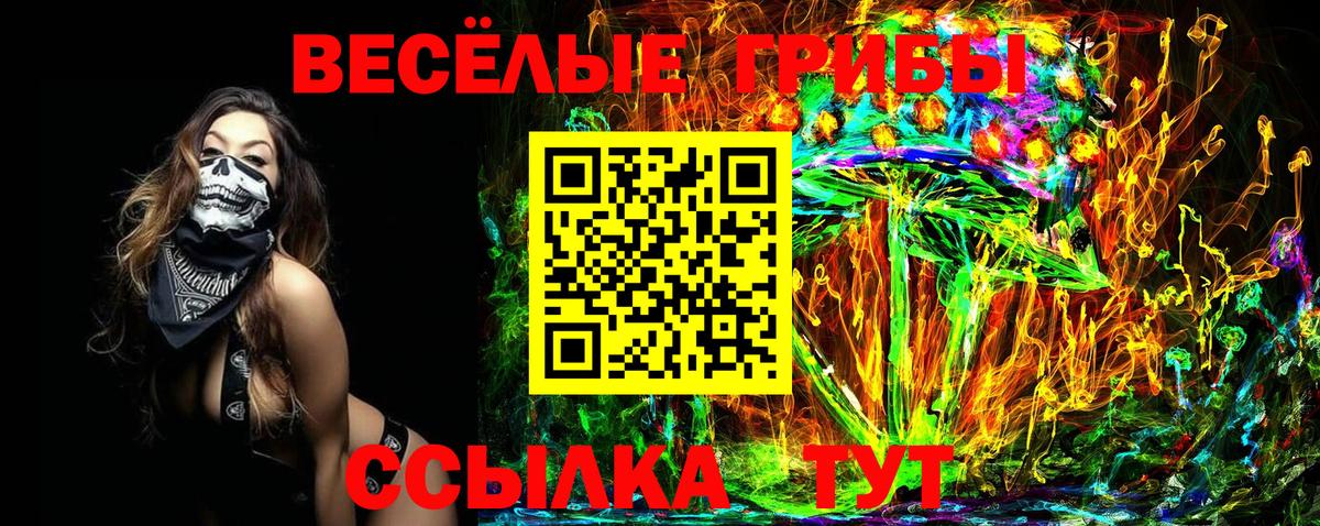 Псилоцибиновые грибы мицелий  купить наркотики сайты  Саяногорск  Вход с VPN 